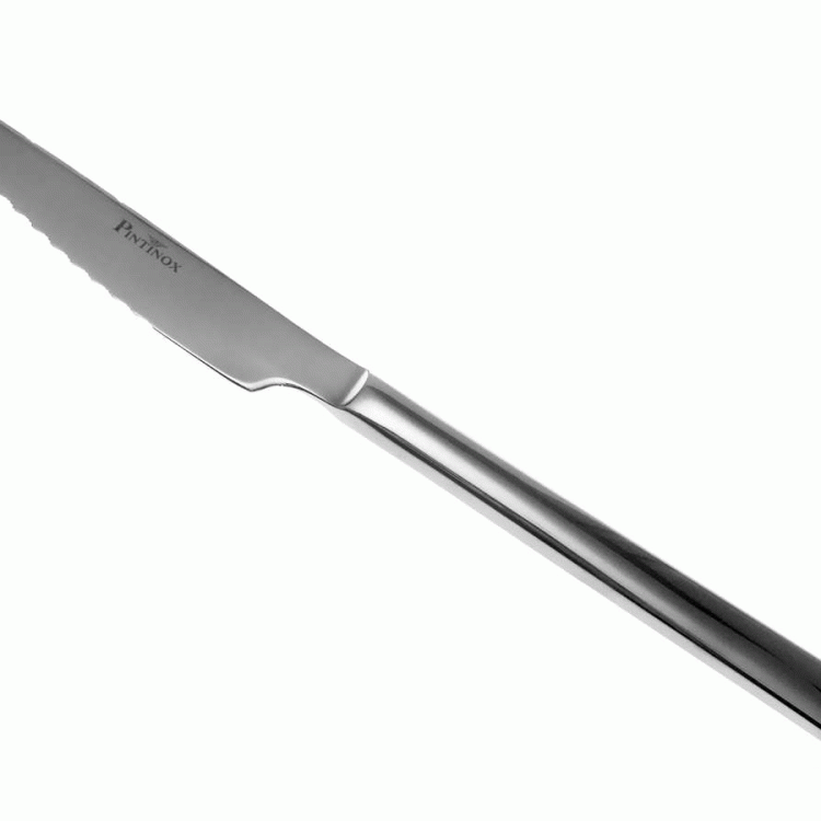 COLTELLO BISTECCA ACCIAIO INOX SYNTHESIS PINTINOX 6PZ.